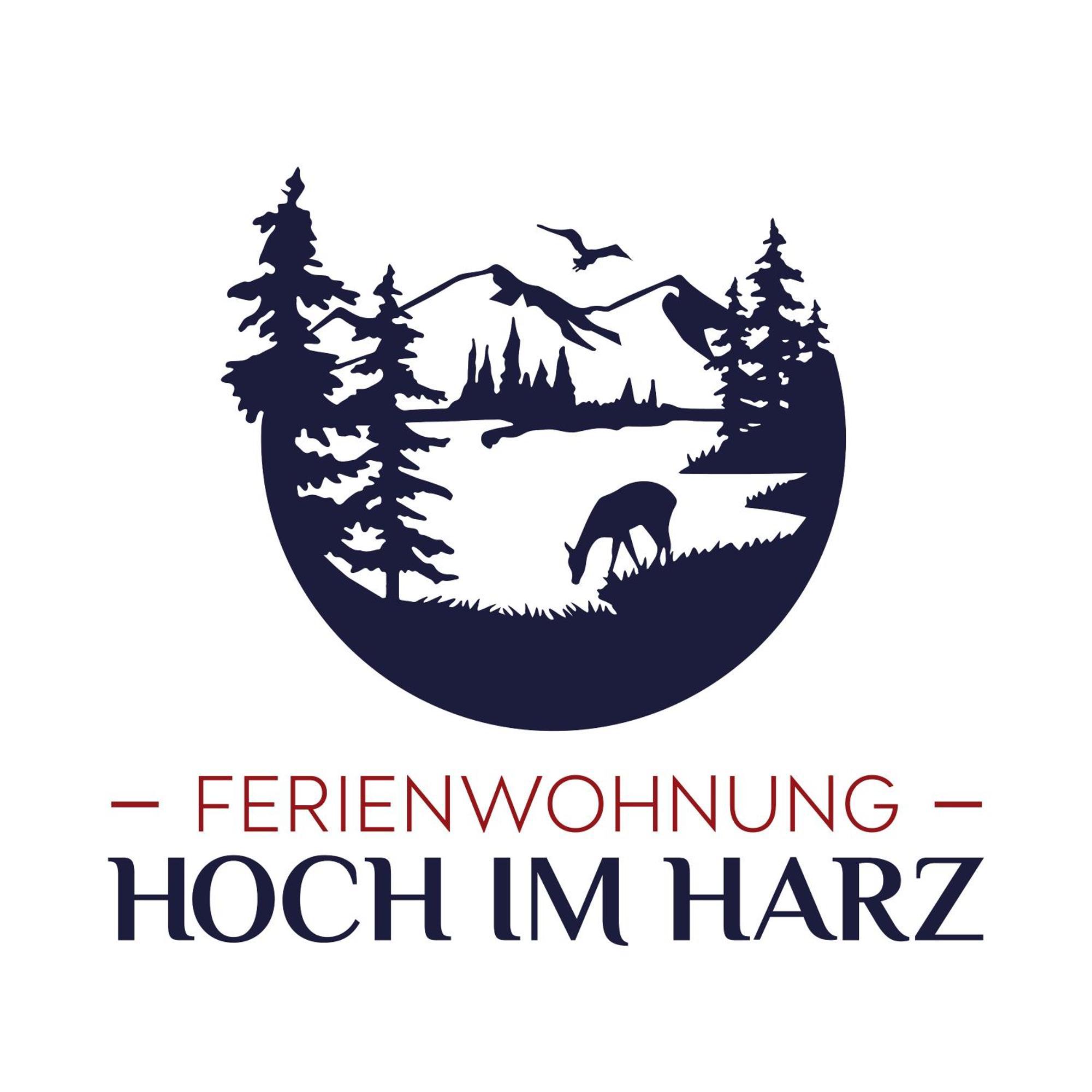 Ferienwohnung Hoch Im Harz, Altenau Altenau  Kültér fotó